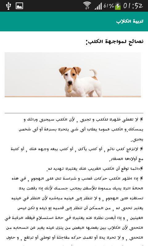 مخطط صغير جدا يزور الكلاب حرام Sjvbca Org