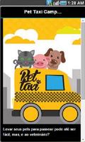 Pet Taxi Campinas ポスター