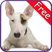 Bull Terrier+ Free