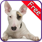 Bull Terrier+ Free-icoon