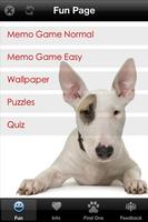 Bull Terrier+ Free poster