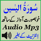 Sura Yaseen Complete Audio icône