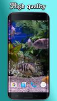 برنامه‌نما Aquarium Video Wallpaper عکس از صفحه