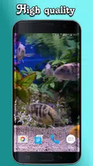 download Aquarium Video Wallpaper APK
