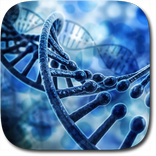 DNA 3D Live Wallpaper