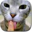 Kitty Licks Screen APK