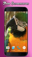 Parrot Live Wallpaper Screenshot 2