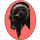 Glock - Free Widget Goat Clock simgesi