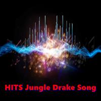 HITS Jungle Drake Song โปสเตอร์