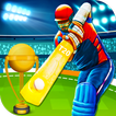 I.P.L T20 Cricket 2016 Craze