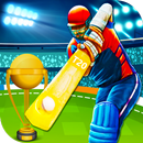 I.P.L T20 Cricket 2016 Craze APK