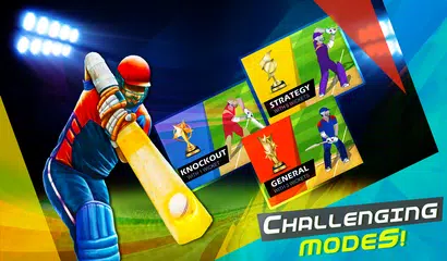I.P.L T20 Cricket 2016 Craze APK 下載