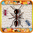 Ant Smasher APK