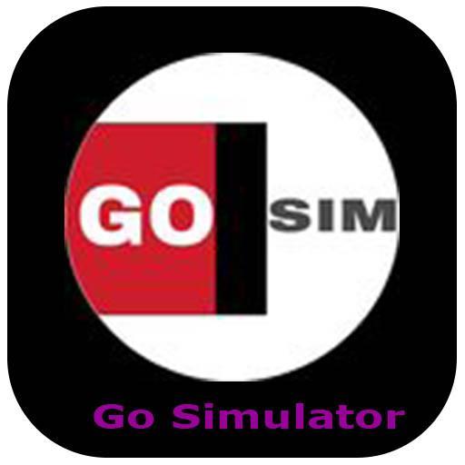 Гоу симулятор. Go Simulator.