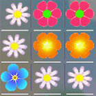 Flower Matching icône