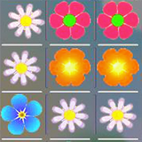 Flower Matching icon