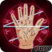 Palm Reader Pro