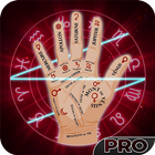 Palm Reader Pro Zeichen