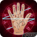 Palm Reader Pro APK