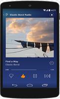 Rview Pandora Radio Music capture d'écran 1