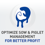 Program Neonate for swine