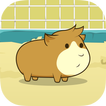 Guinea Pig Evolution - Clicker