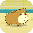 Guinea Pig Evolution - Clicker icône