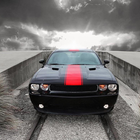 Wallpapers Of Dodge Challenger ไอคอน