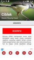 Master Suara Burung Kasar 截图 3