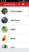 Master Suara Burung Kasar Cartaz