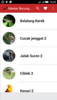 Master Suara Burung Kasar imagem de tela 1