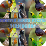 Master Juara Kicau Terlengkap simgesi