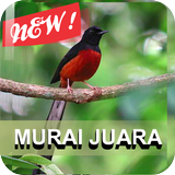 Master Murai Batu ícone