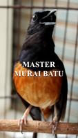 Master Murai Batu Cartaz