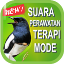 Suara Burung Kacer Juara APK