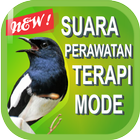 Suara Burung Kacer Juara আইকন