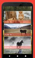 Wild Animal Photo Frame ภาพหน้าจอ 1