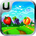 Fruit Organik Fresh Plantation