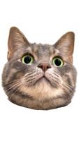 Spinning Cat Face ポスター