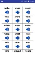 English Irregular Verbs with P Ekran Görüntüsü 3