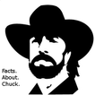 Chuck Norris Facts