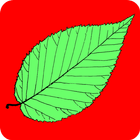 FP Tree ID App Zeichen