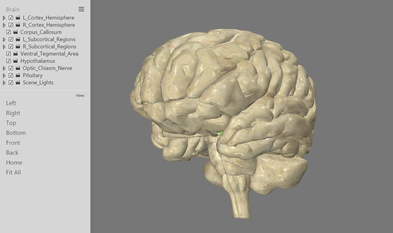 Интерактивный мозг. Мозг андроида. Головной мозг плакат. Спасибо мозг.