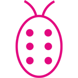 Just sbr for Women's Clothing Store