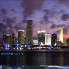 Miami City icône