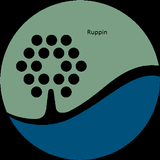 Ruppin Checks icono