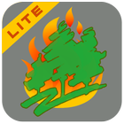 AIB Lite icon