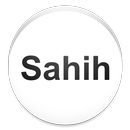 Sahih Bukhari in English APK