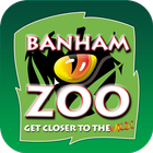 Banham Zoo icône