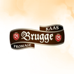 Brugge Kaas recepten